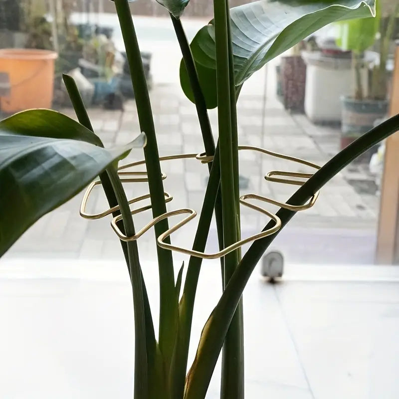 Monstera – Pflanzenstütze