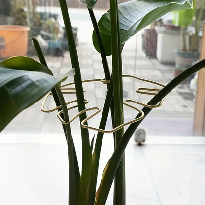Monstera – Pflanzenstütze