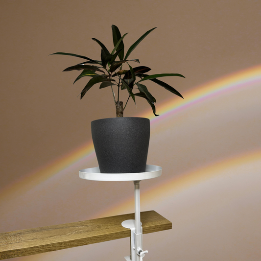 EdgeRise – Fensterbank Erweiterung