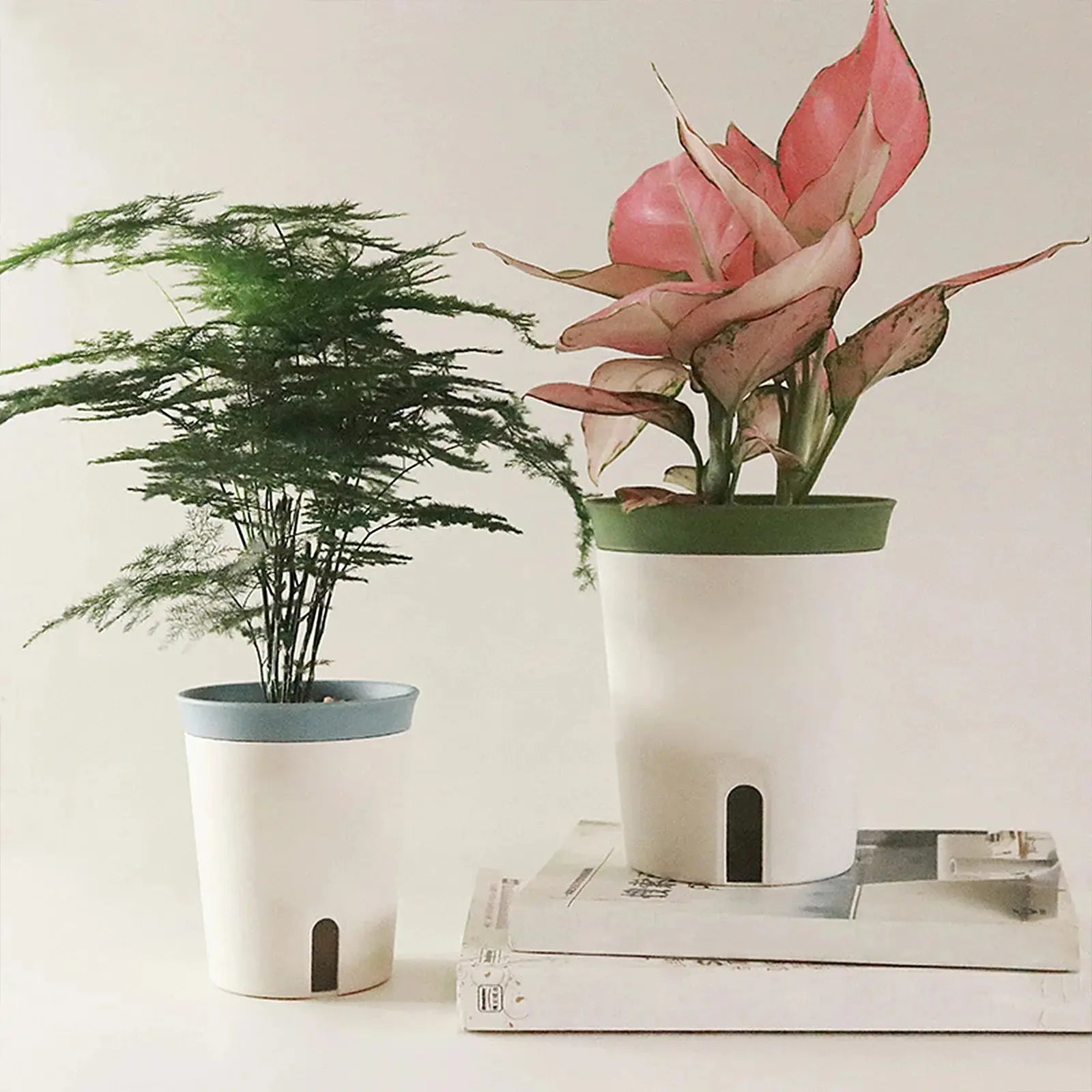 AquaSmart - Pflanzentopf JungleMood