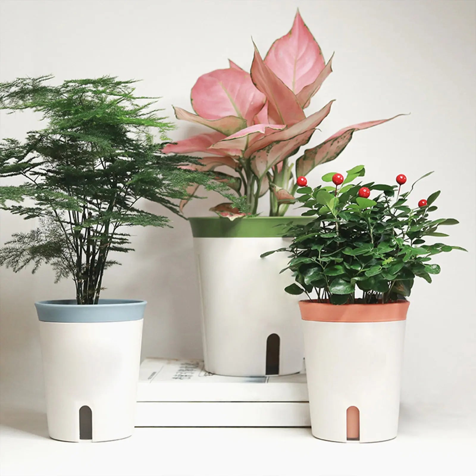 AquaSmart - Pflanzentopf JungleMood