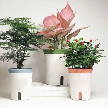 AquaSmart - Pflanzentopf JungleMood