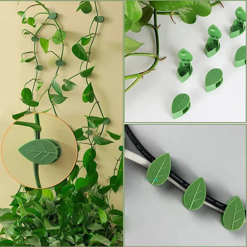 Leaf Clips – Pflanzenclip JungleMood